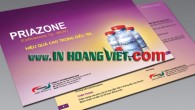 In leaflet - Công Ty TNHH Sản Xuất Thương Mại Xuất Nhập Khẩu Hoàng Việt